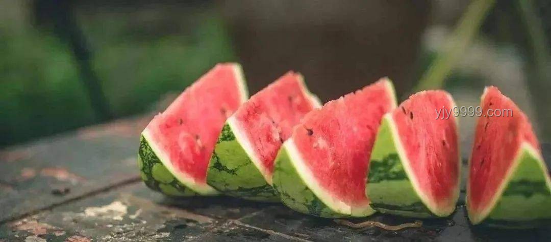 汉代遗址瓜皮与现代西瓜的对比分析